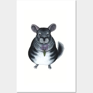 Chinchilla Holding Flowers Posters and Art